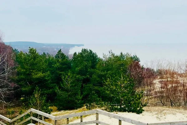 Куршская коса