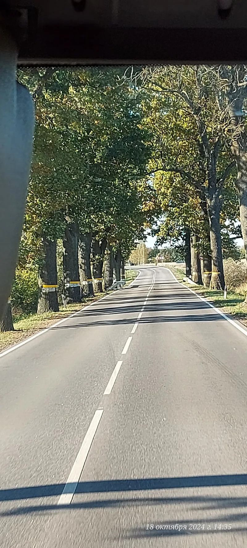 Фото из отзыва — Галина Боярова