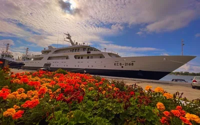 Лучшие локации побережья "Балтийск + Янтарный +Светлогорск +Филинская бухта".