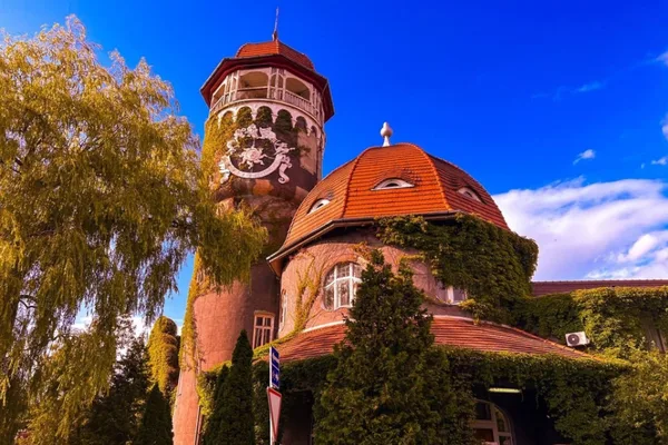 Светлогорск