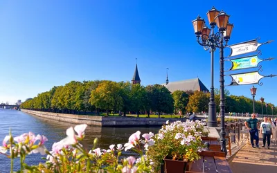 Обзорная экскурсия по Калининграду