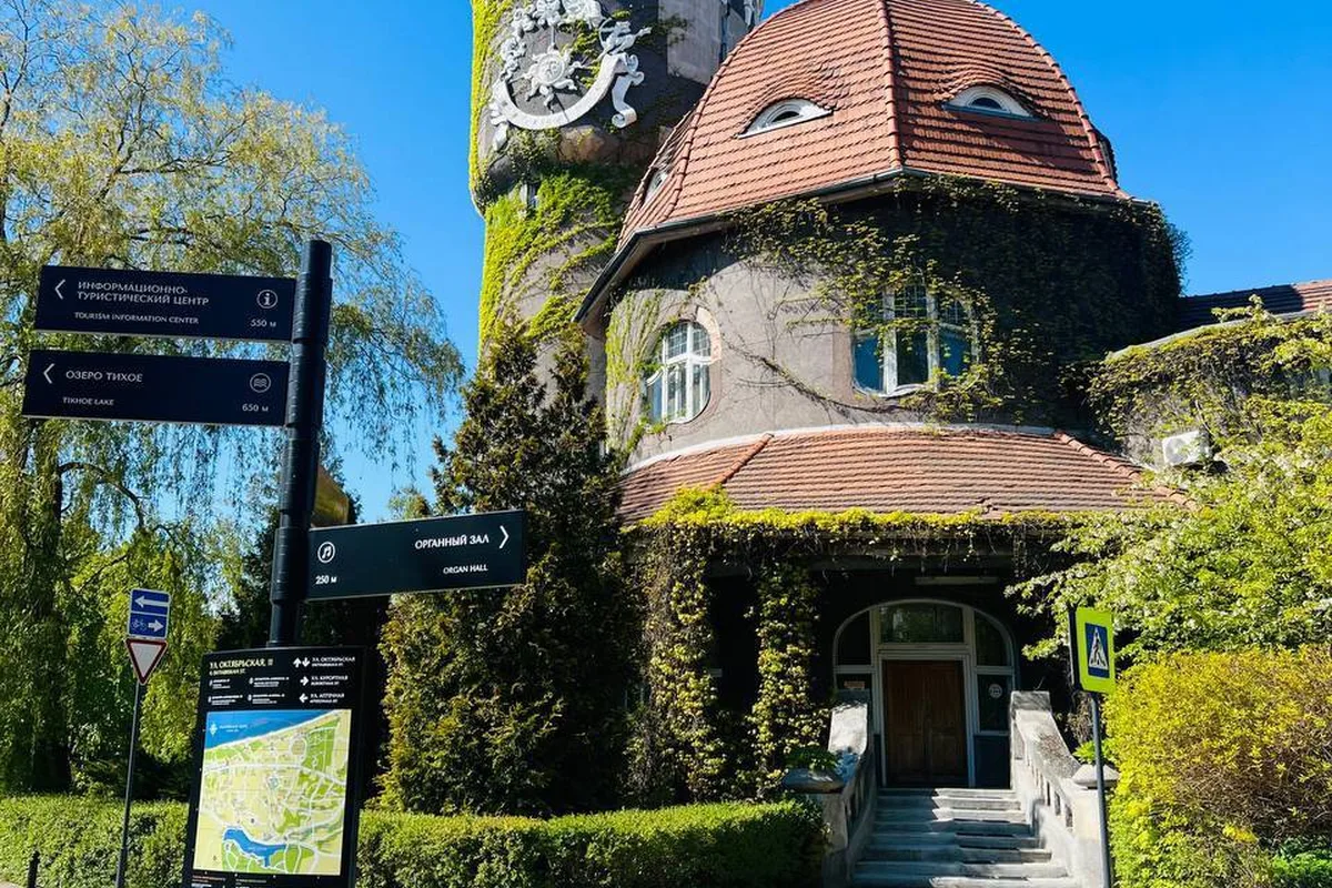 Светлогрск