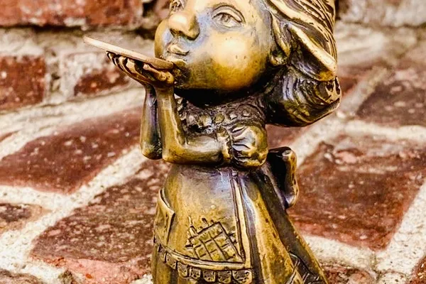 Индивидуальная обзорная экскурсия по Калининграду в поисках хомлинов.