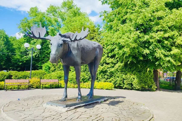 Советск лось