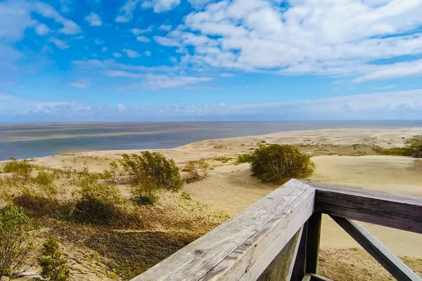 Куршская коса