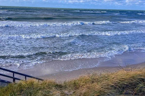 Индивидуальная экскурсия на Куршскую косу из Зеленоградска