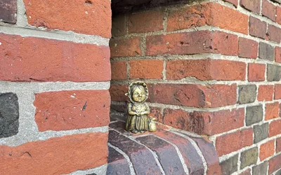 Обзорная экскурсия «В поисках хомлинов» .