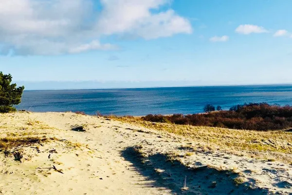 Куршская коса