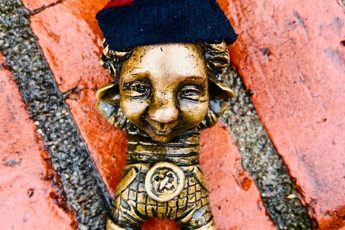 Обзорная экскурсия «В поисках хомлинов» .