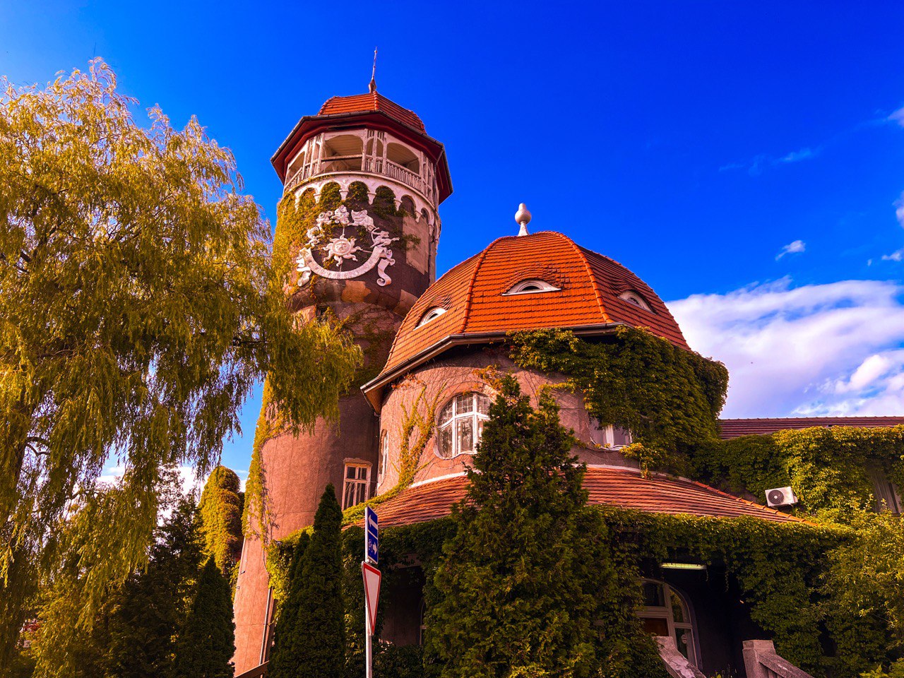 лидмагнитфото2