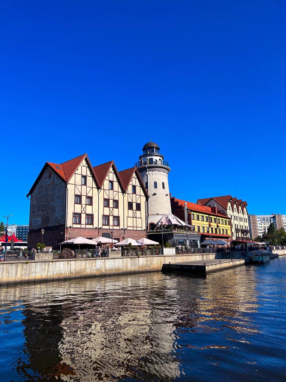 лидмагнитфото4