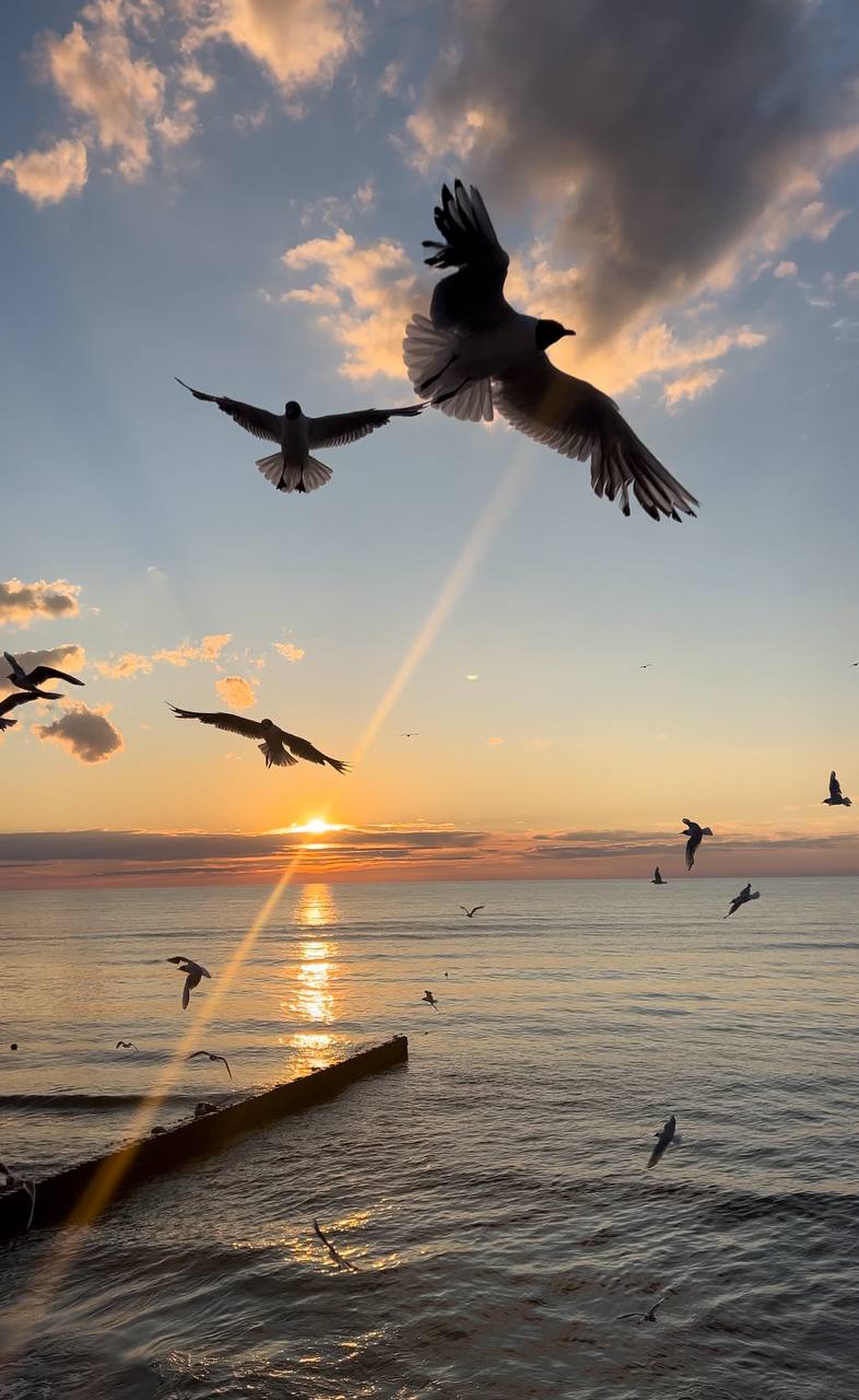 лидмагнитфото5