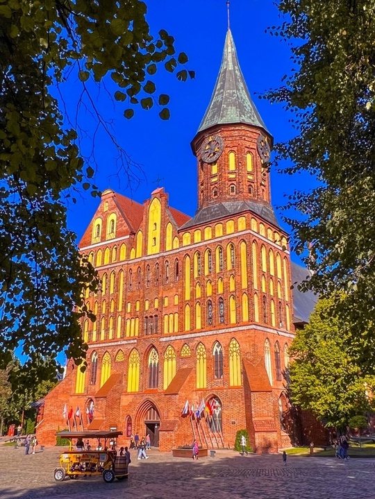 Обзорная экскурсия «В поисках хомлинов» .