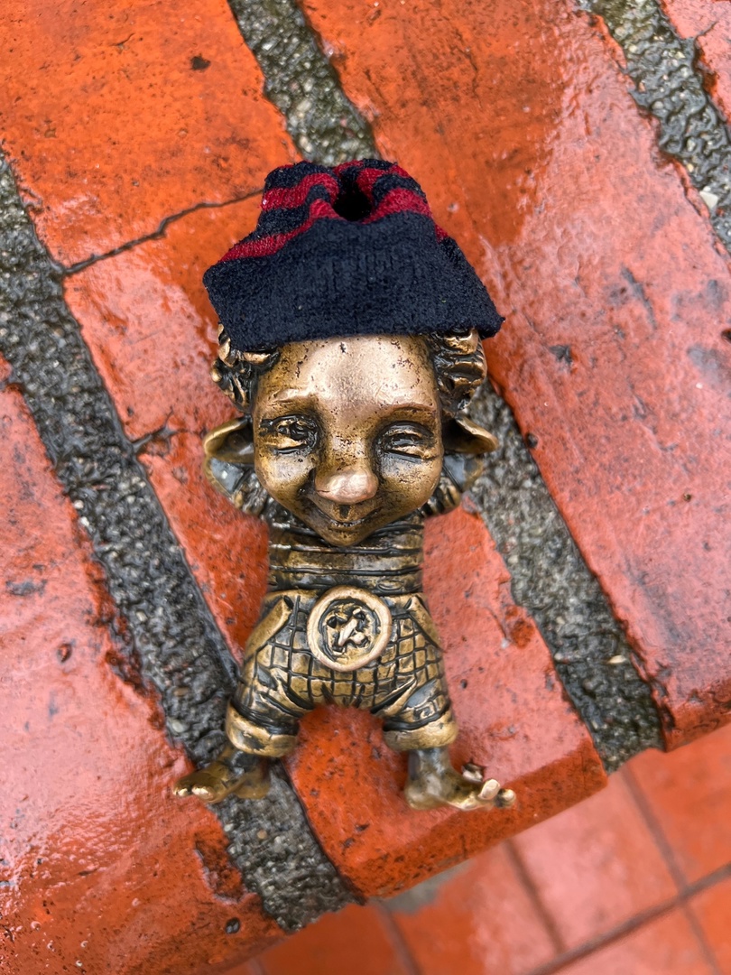 Обзорная экскурсия «В поисках хомлинов» .