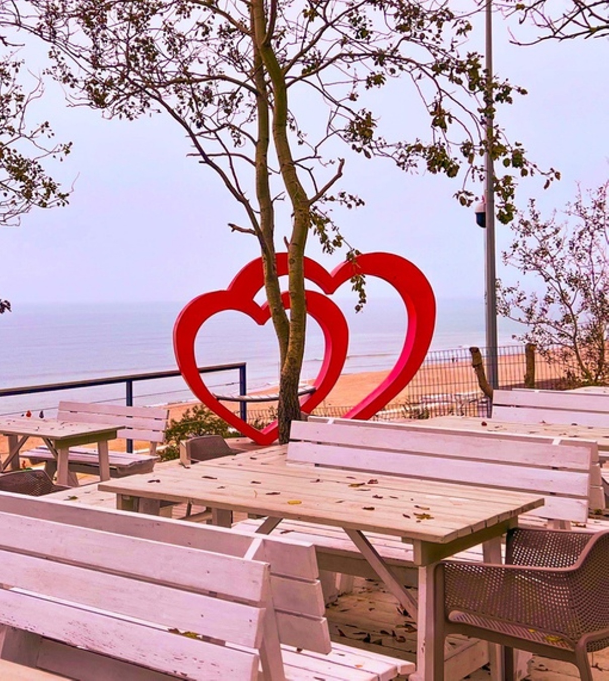 Лучшие локации побережья "Балтийск + Янтарный +Светлогорск +Филинская бухта".