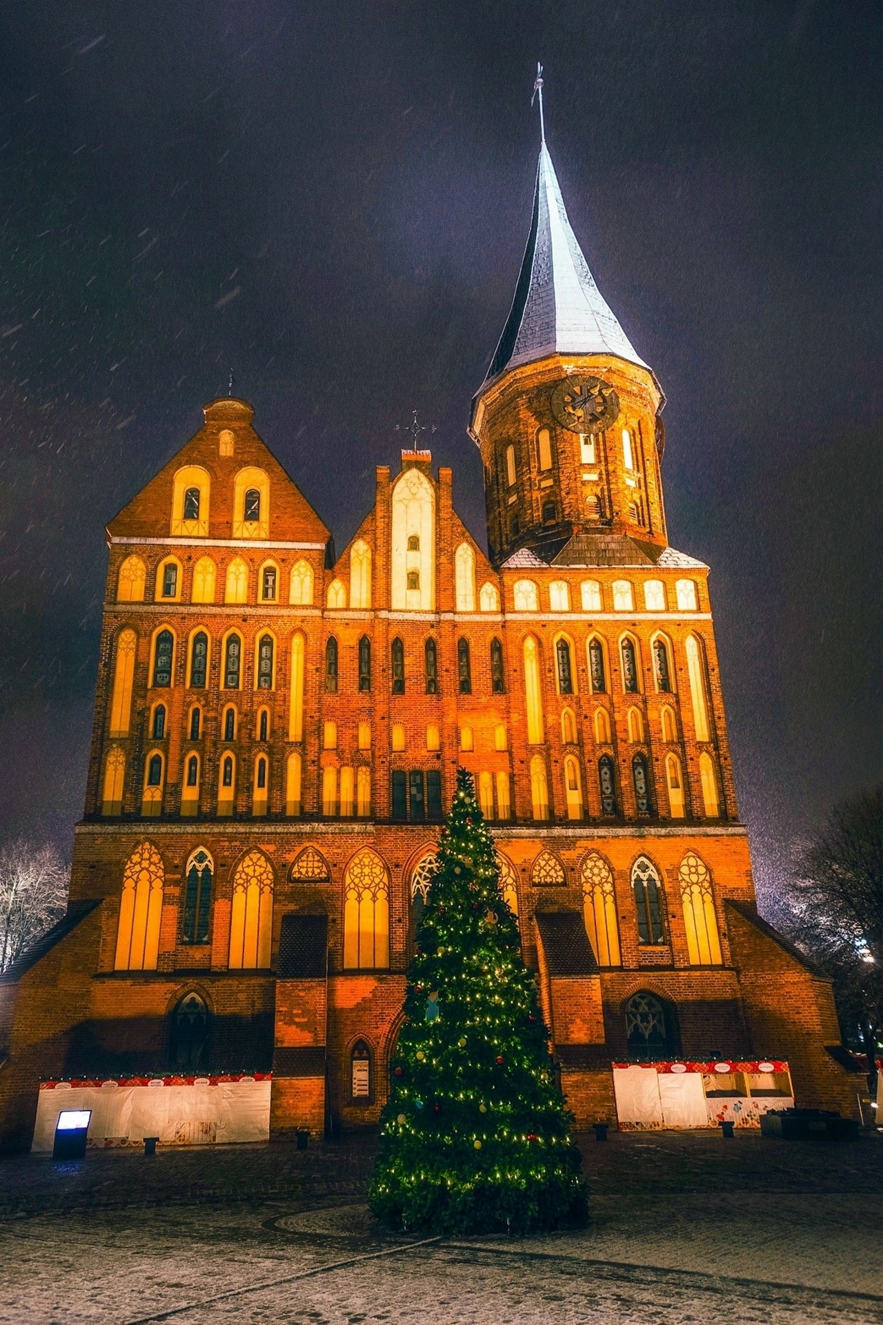 Рождественский Калининград с Валерой 🚌