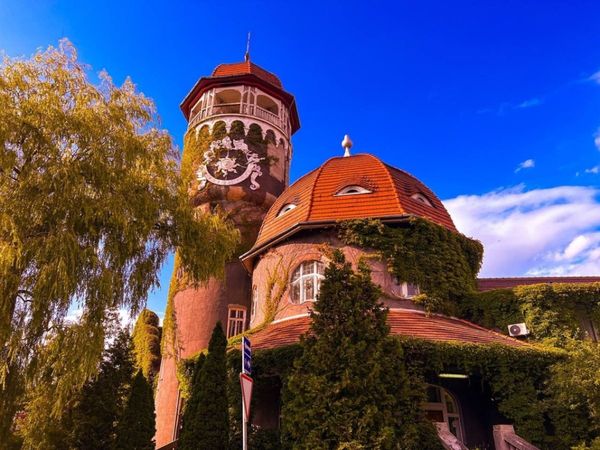 Светлогорск