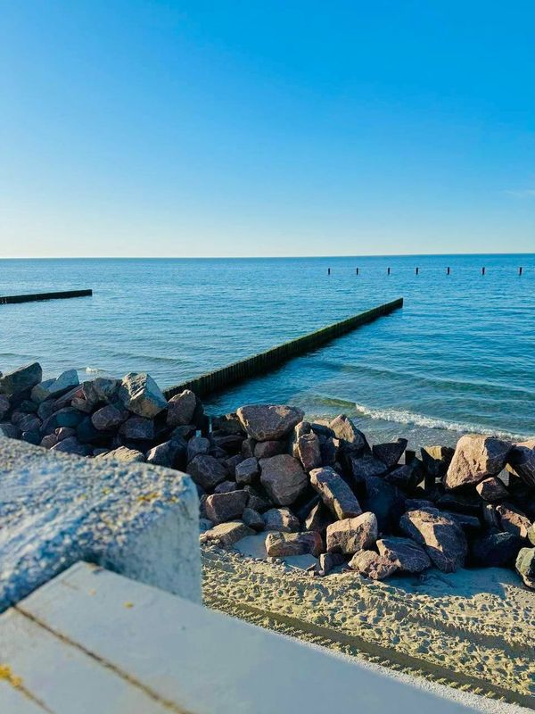 Светлогорск