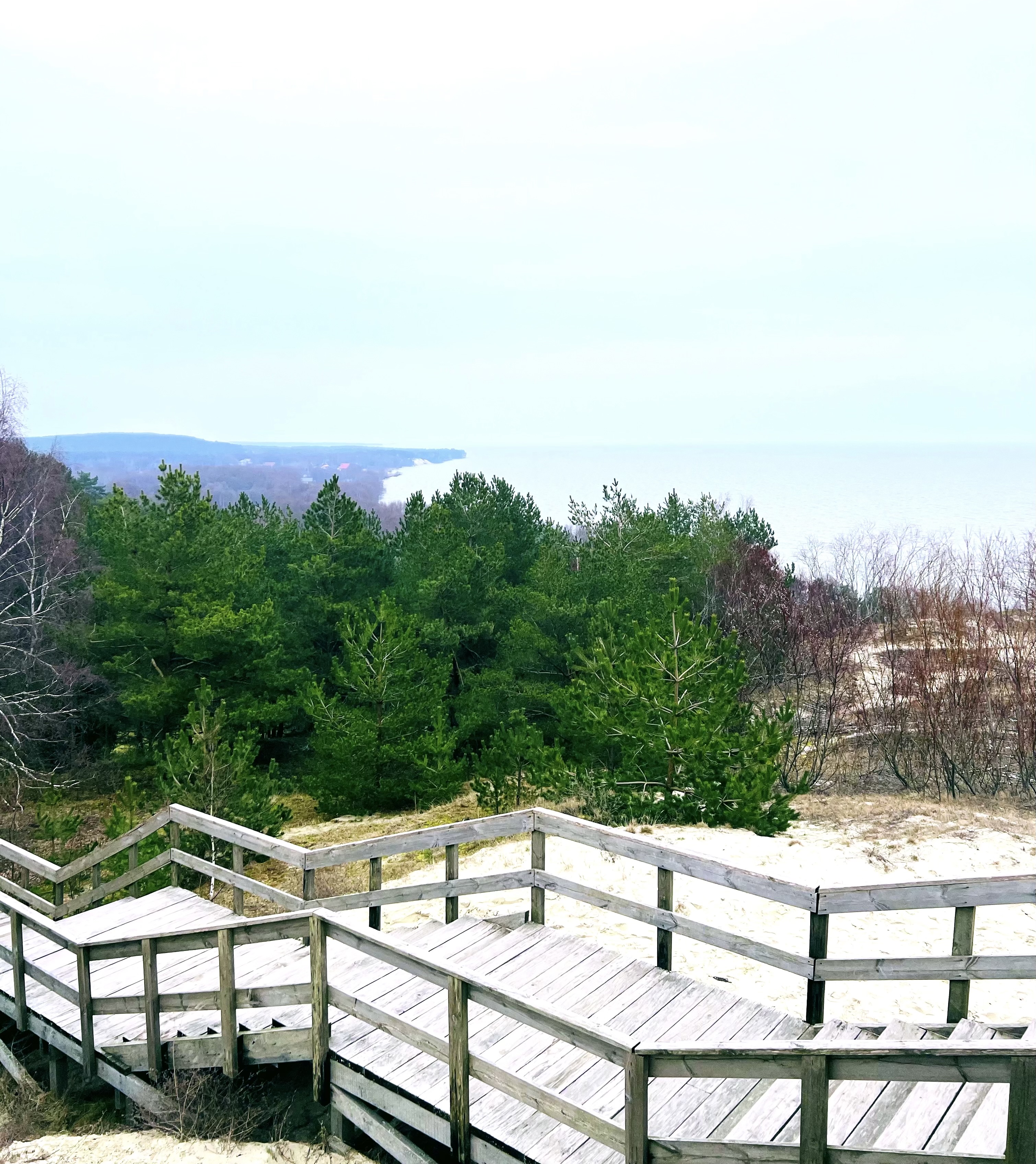 "Тайными тропами Куршской косы до семейной сыроварни Шаакендорф + Зеленоградск"