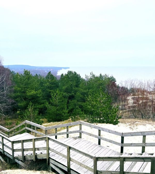 "Тайными тропами Куршской косы до семейной сыроварни Шаакендорф + Зеленоградск"